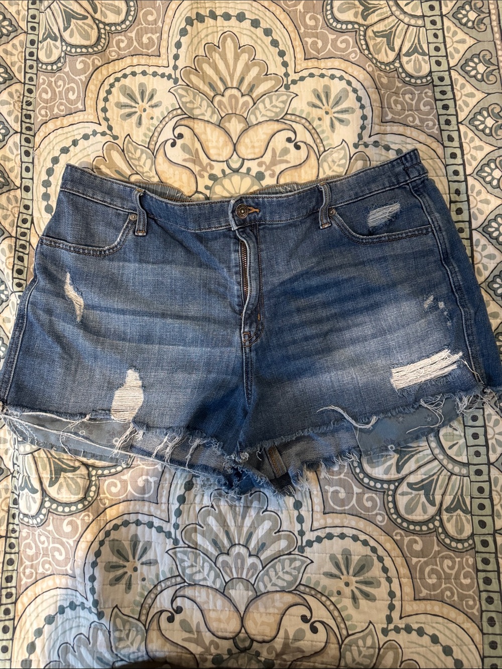 Aerie Distressed Women’s Shorts - Blue